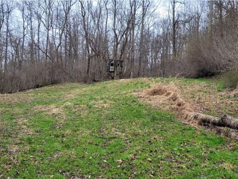 9470 State Route 669, Roseville, OH 43777 Photo 25