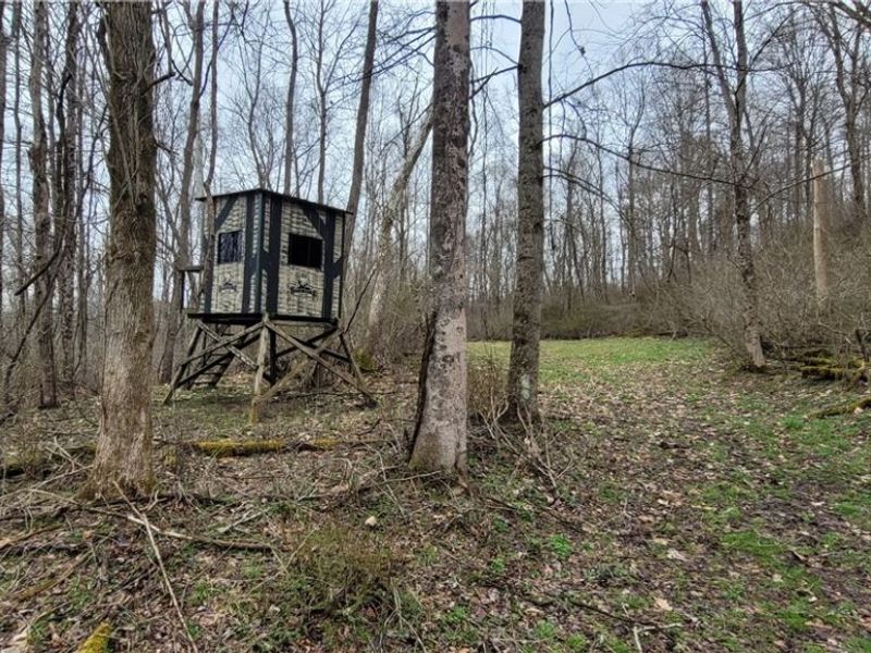 9470 State Route 669, Roseville, OH 43777 Photo 27