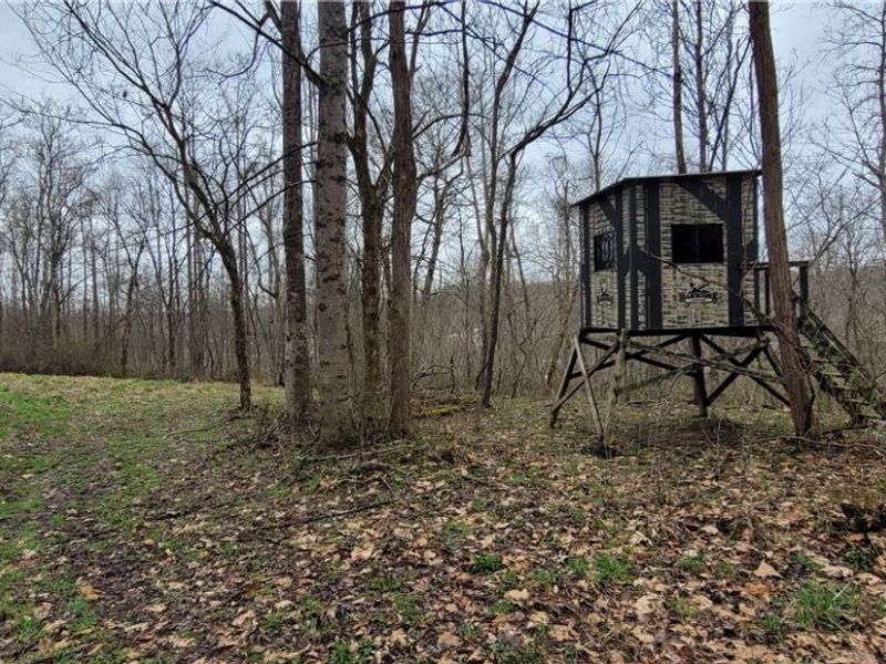 9470 State Route 669, Roseville, OH 43777 Photo 28