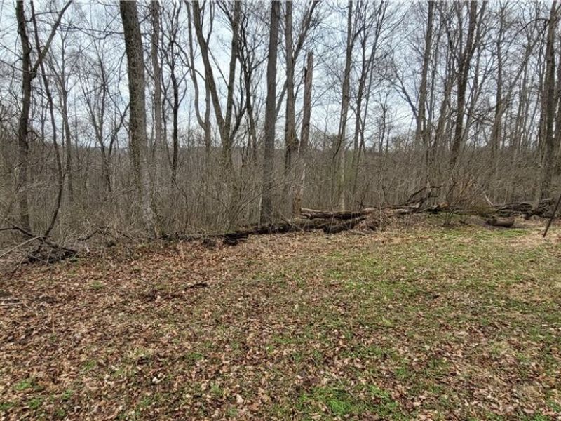 9470 State Route 669, Roseville, OH 43777 Photo 31