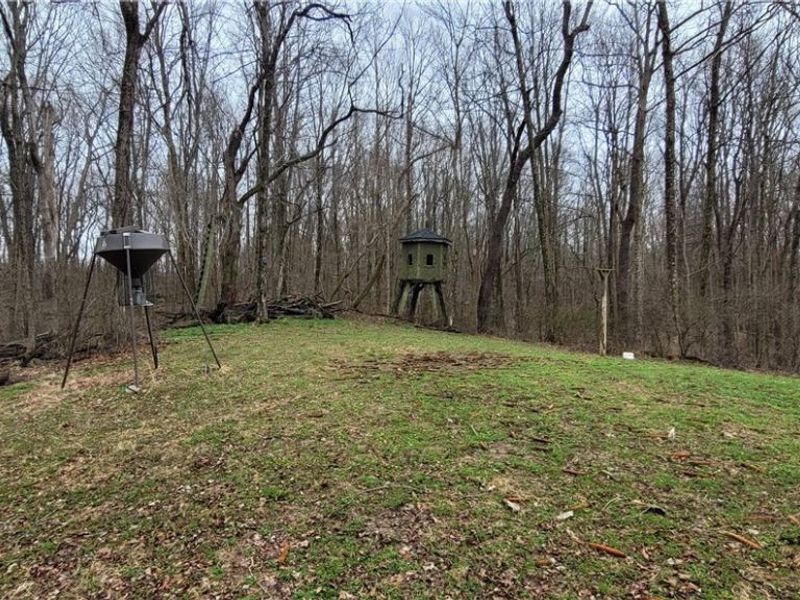 9470 State Route 669, Roseville, OH 43777 Photo 32