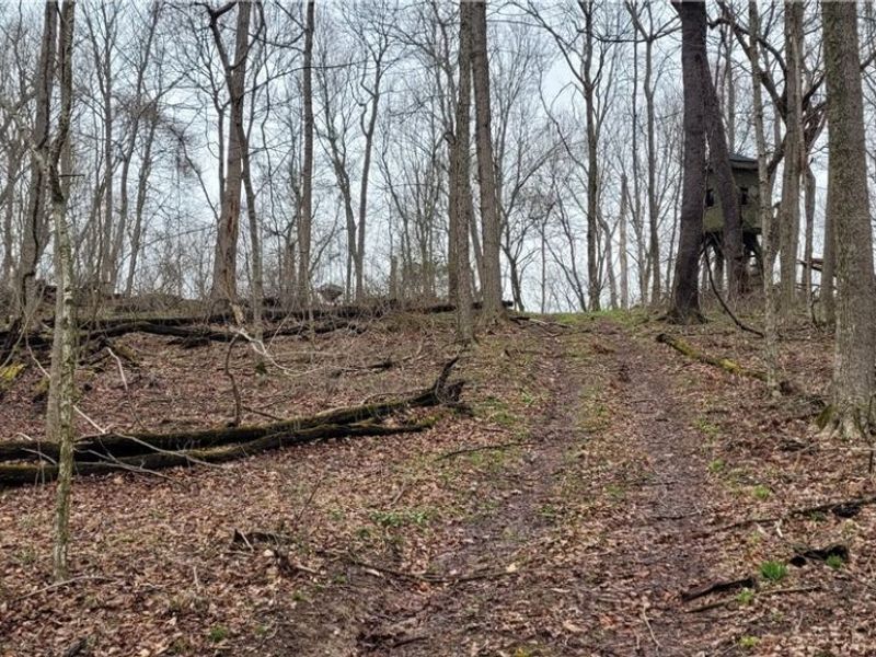 9470 State Route 669, Roseville, OH 43777 Photo 36