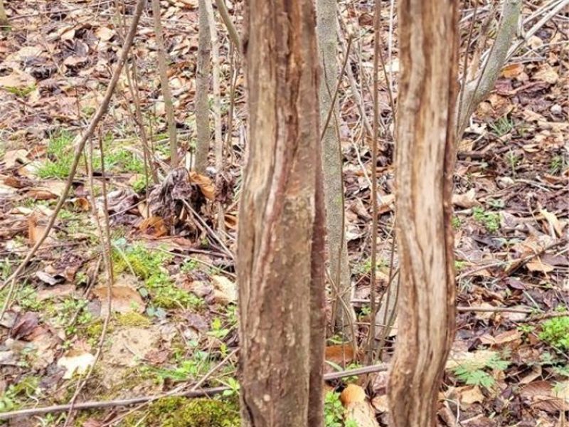 9470 State Route 669, Roseville, OH 43777 Photo 37