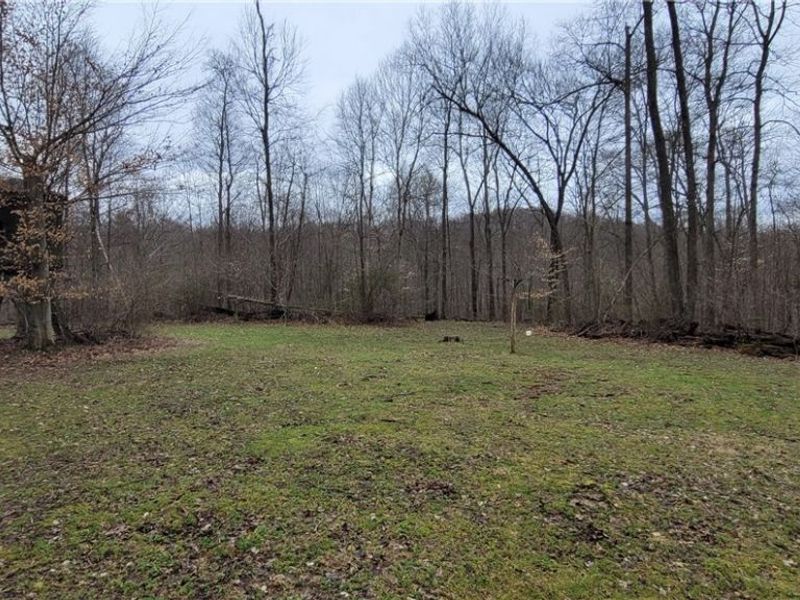 9470 State Route 669, Roseville, OH 43777 Photo 38