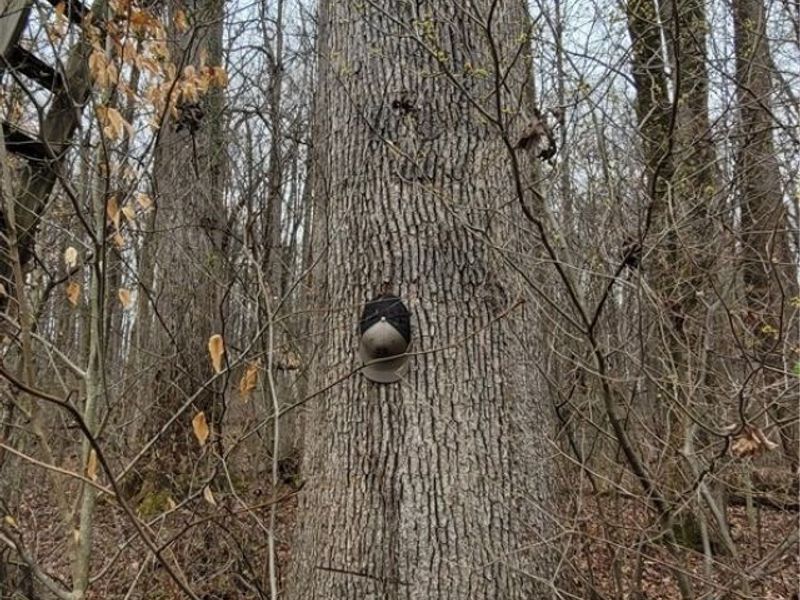 9470 State Route 669, Roseville, OH 43777 Photo 39