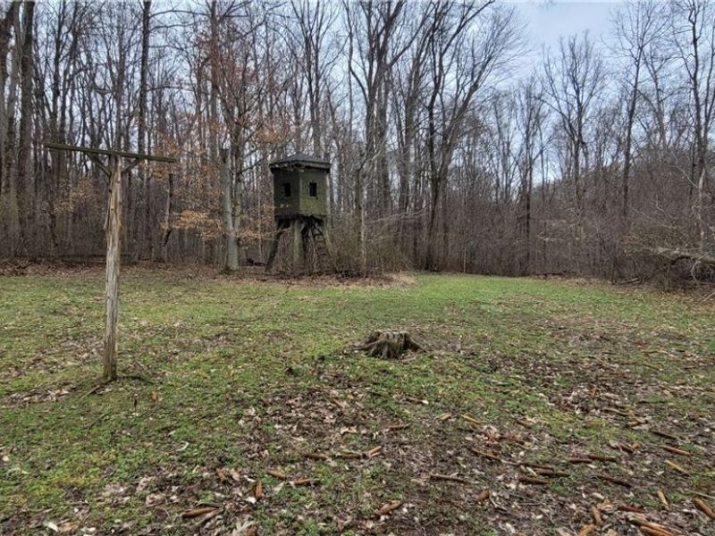 9470 State Route 669, Roseville, OH 43777 Photo 40