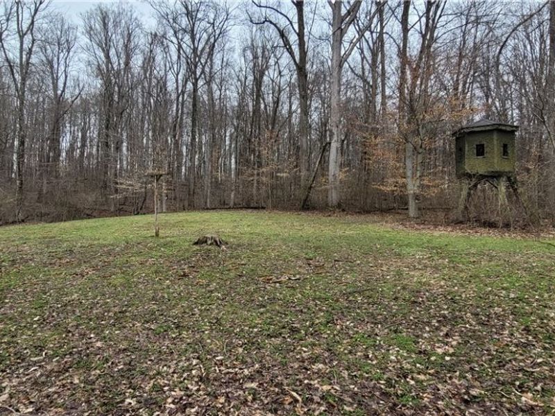 9470 State Route 669, Roseville, OH 43777 Photo 41