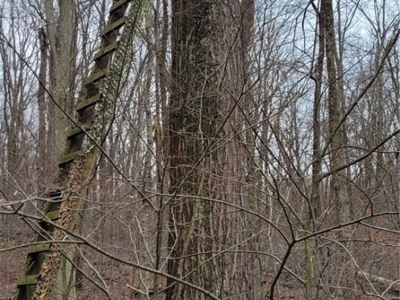 9470 State Route 669, Roseville, OH 43777 Photo 42