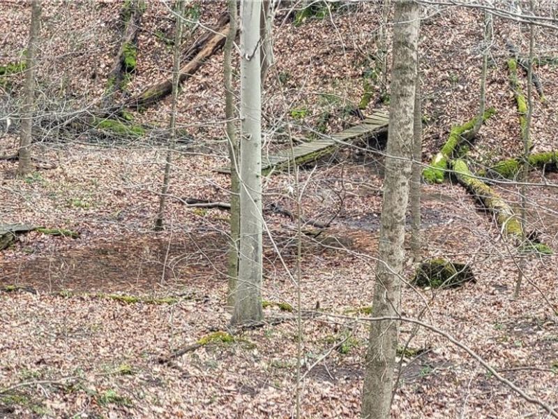 9470 State Route 669, Roseville, OH 43777 Photo 44