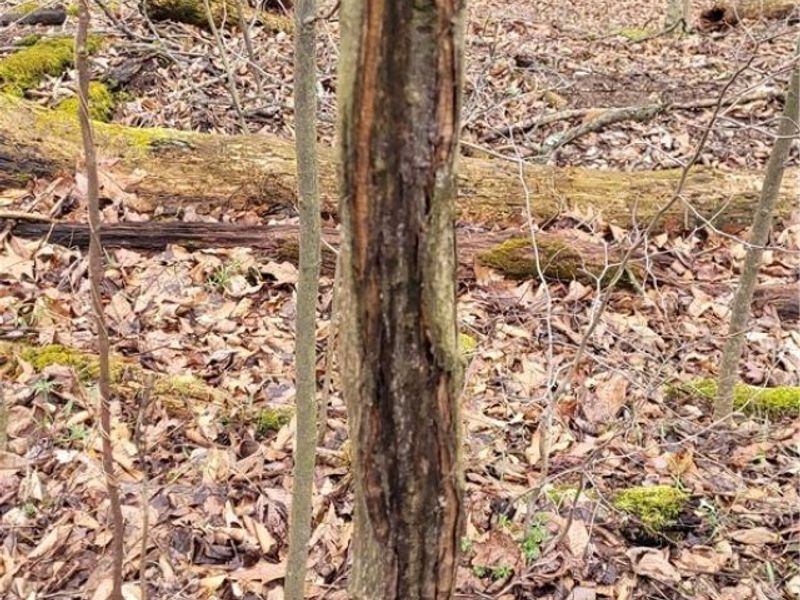 9470 State Route 669, Roseville, OH 43777 Photo 45