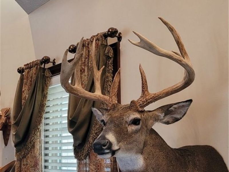 9470 State Route 669, Roseville, OH 43777 Photo 9