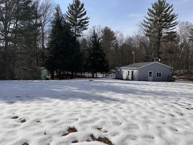 11071 N Gladys Lane, Irons, MI 49644 Main Photo