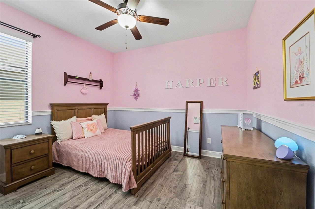 21827 Southern Charm Drive, Land O Lakes, FL 34637 Photo