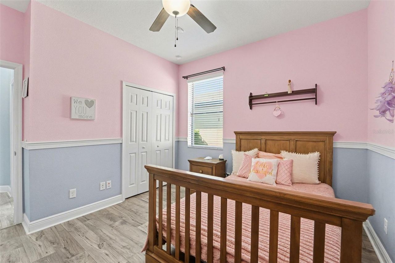 21827 Southern Charm Drive, Land O Lakes, FL 34637 Photo