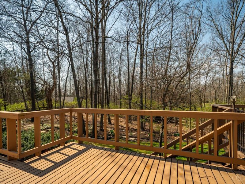 6853 Cloister Cliffs Drive, Madison Twp, OH 45042 Photo 85