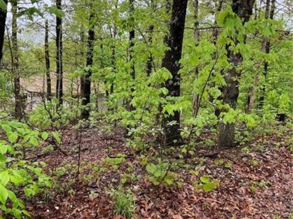 St Asaph Circle , Bella Vista, AR 72714