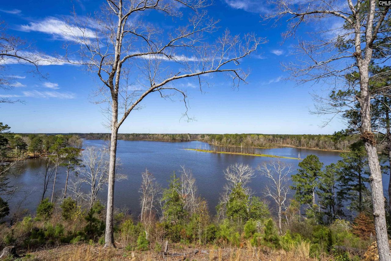 161 Saluda Bluff Road  Photo 51