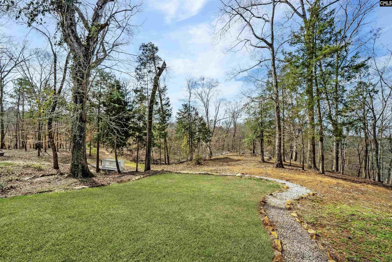 161 Saluda Bluff Road  Photo 54