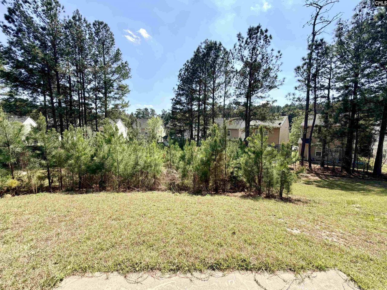 1073 Roscoe Road  Photo 21