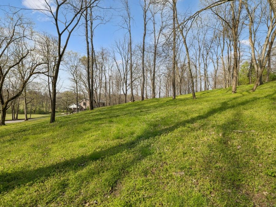 Property Image 81