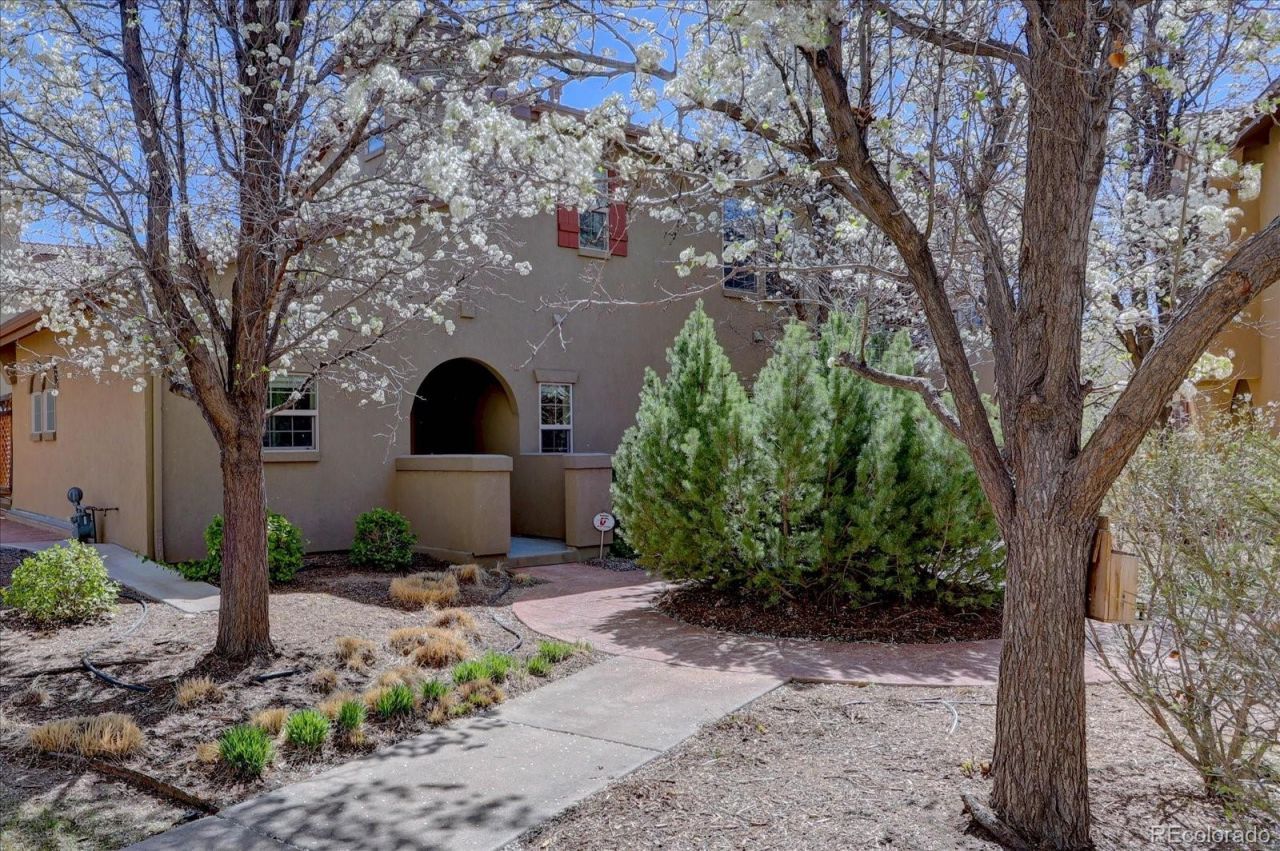 10138 E 29th Drive, Denver, CO 80238 Main Photo