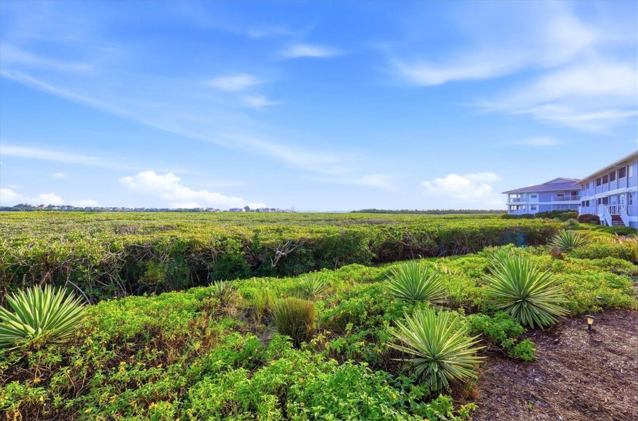 1323 Perico Point Circle , Unit 107, Bradenton, FL 34209 Photo