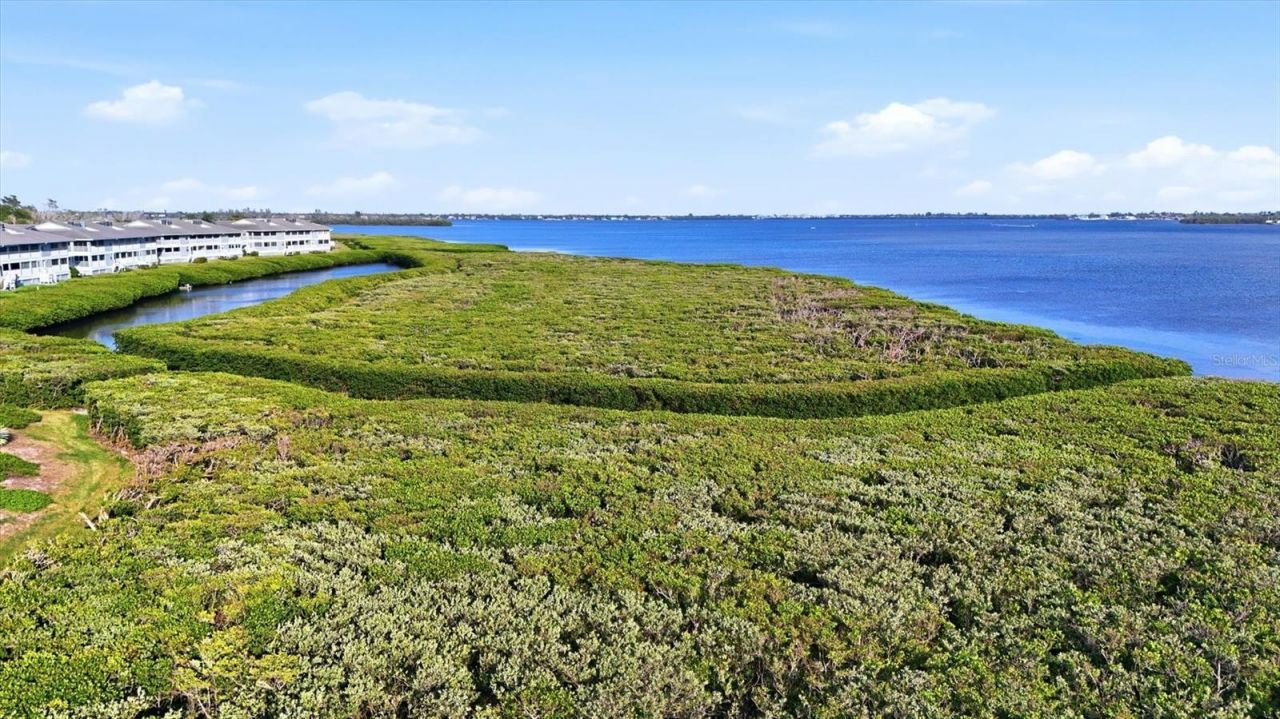 1323 Perico Point Circle , Unit 107, Bradenton, FL 34209 Photo