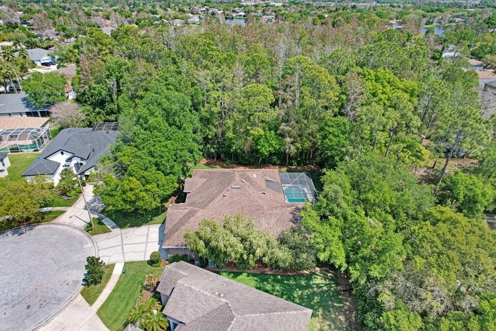 10201 Millport Drive, Tampa, FL 33626 Photo