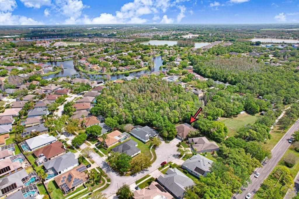 10201 Millport Drive, Tampa, FL 33626 Photo