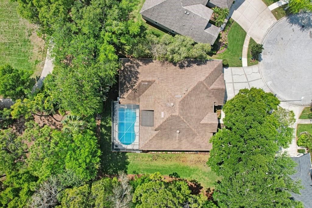 10201 Millport Drive, Tampa, FL 33626 Photo