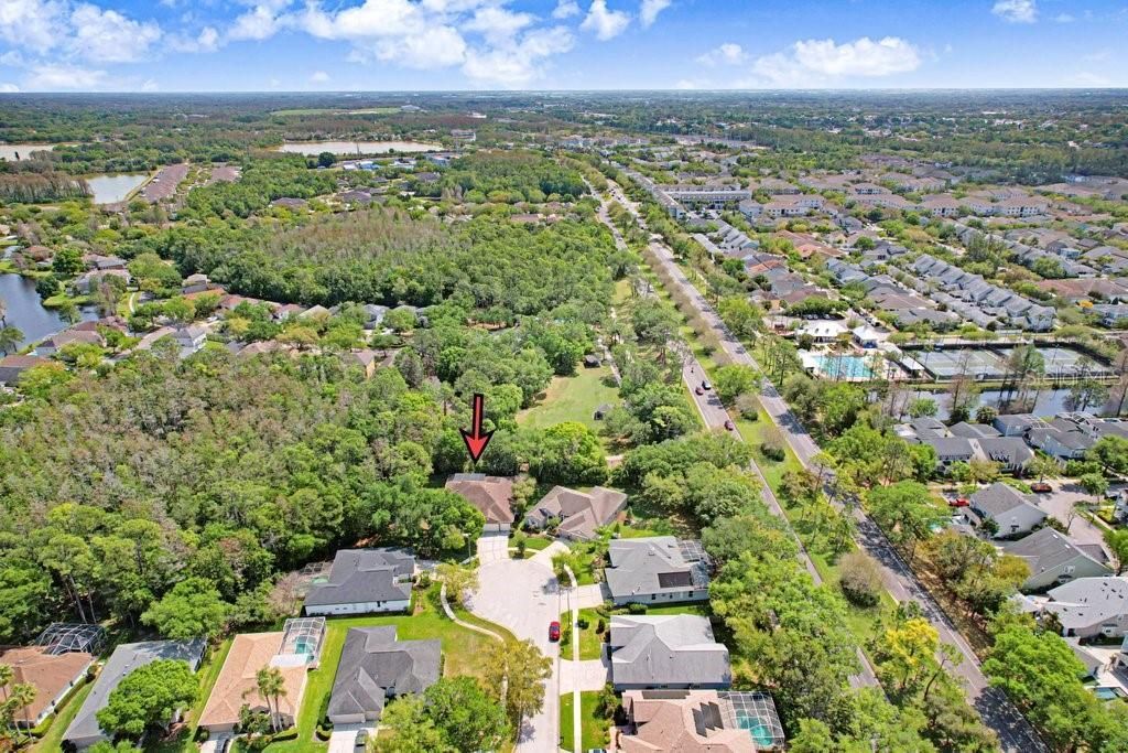 10201 Millport Drive, Tampa, FL 33626 Photo