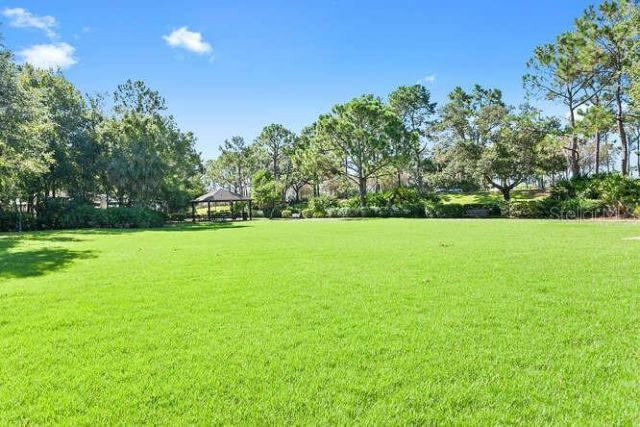 10201 Millport Drive, Tampa, FL 33626 Photo