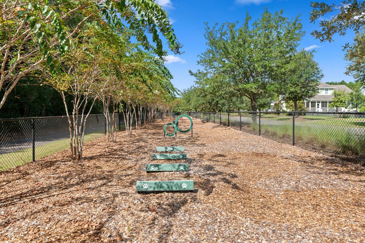 103 Bloomsbury Street Photo 25