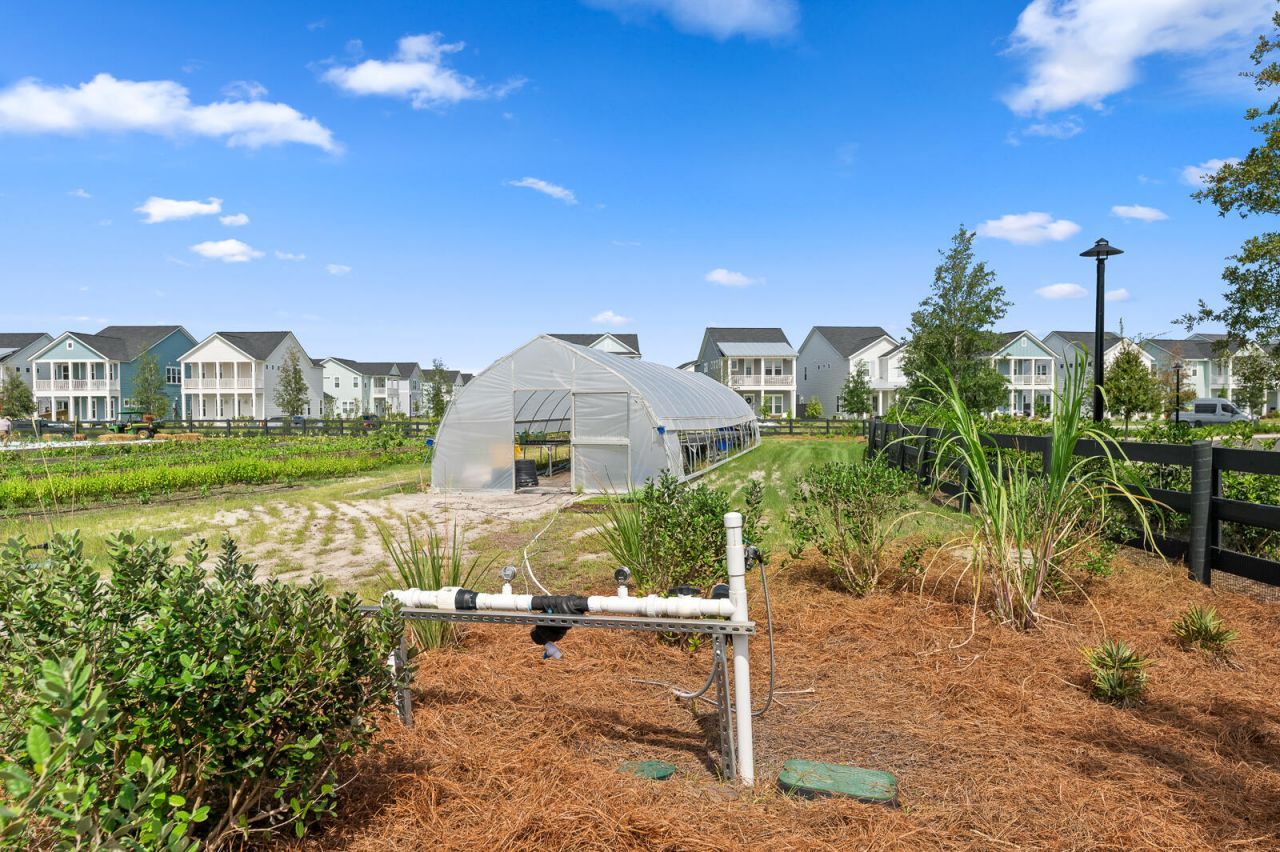 103 Bloomsbury Street Photo 29