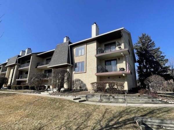 9169 Del Prado Drive, Unit 2E, Palos Hills, IL 60465
