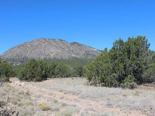 19 Camino Monte Azul , Edgewood, NM 87015