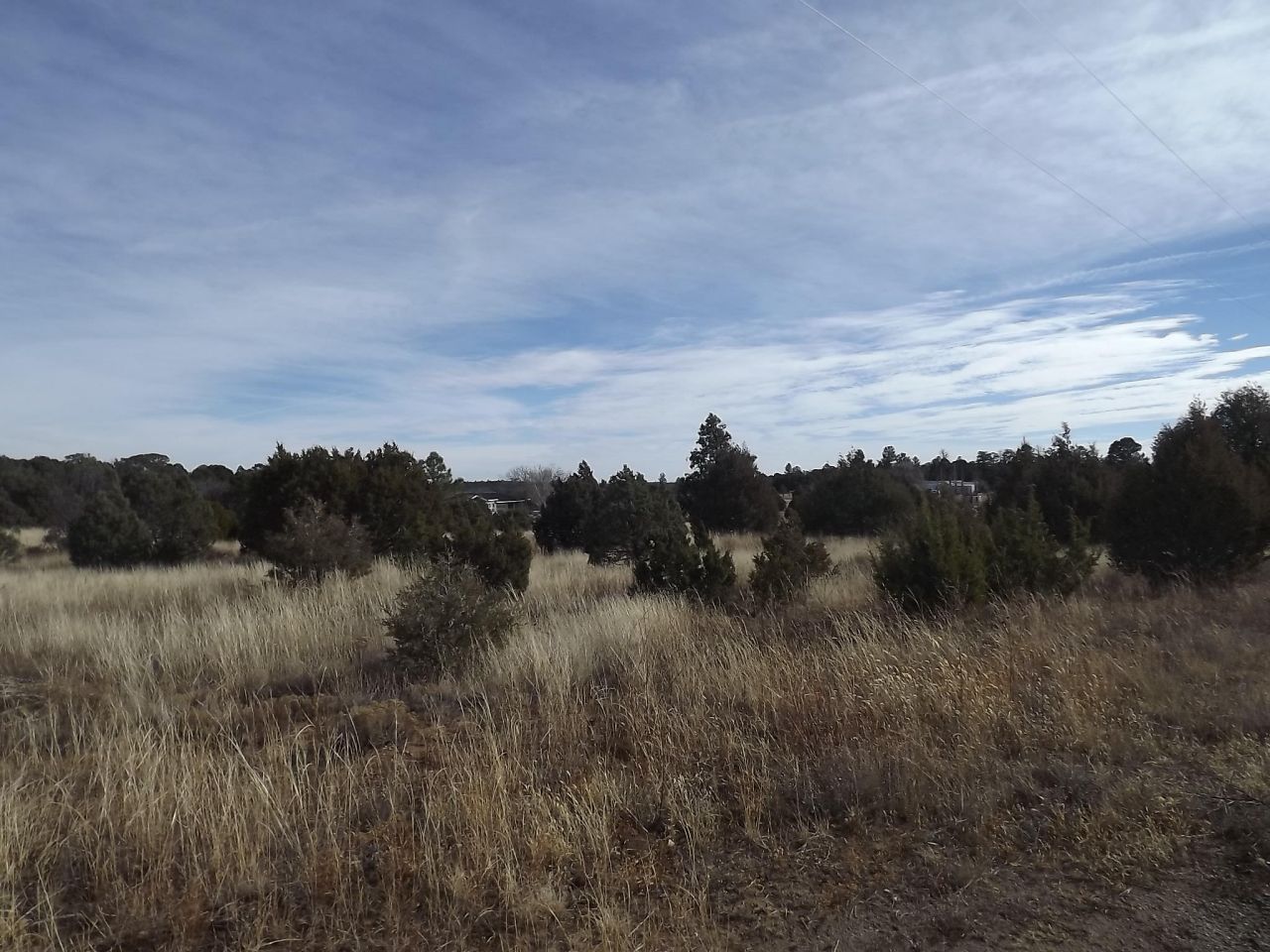 38 Quail Hollow Road, Tijeras, NM 87059 Main Photo
