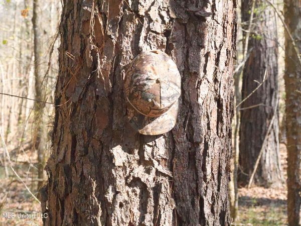 County Road 2277 , McCool, MS 39108