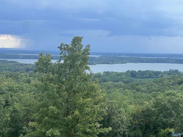 Lot 40 County Road 767, Cedar Bluff, AL 35959