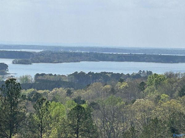 Lot 41 County Road 767, Cedar Bluff, AL 35959