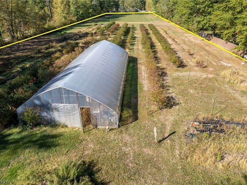 7168 Case Road, North Ridgeville, OH 44039 Photo 5