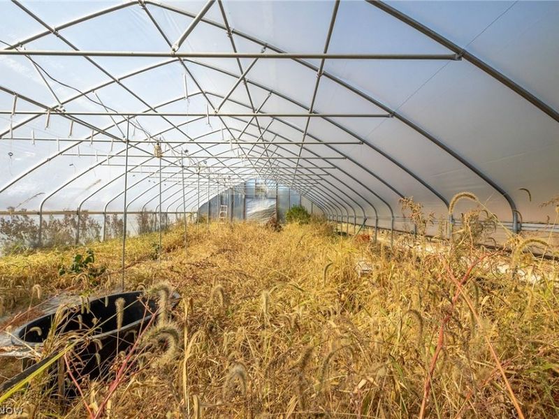 7168 Case Road, North Ridgeville, OH 44039 Photo 6