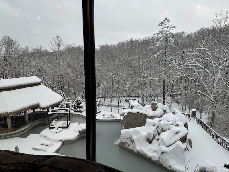 8234 Voltaire Court, Waynesville, OH 45068 Photo 86