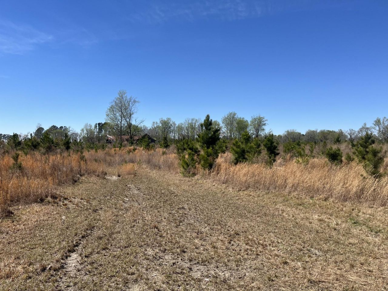 Attadale Rd, Blenheim, SC 29516 Main Photo