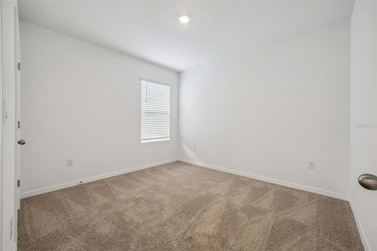 3515 Nettle Loop, Tavares, FL 32778 Photo
