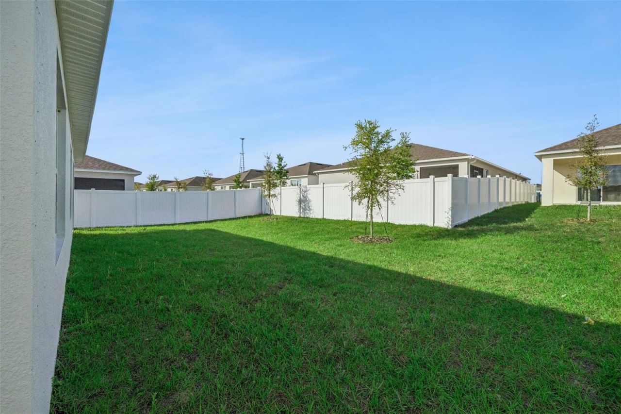 3515 Nettle Loop, Tavares, FL 32778 Photo