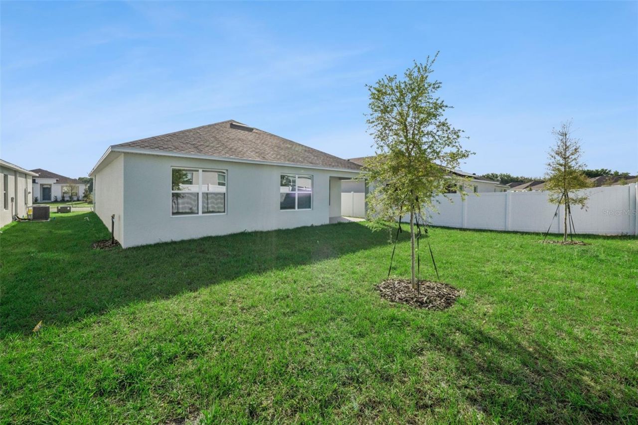 3515 Nettle Loop, Tavares, FL 32778 Photo
