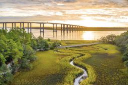 200 River Landing Drive photo 4