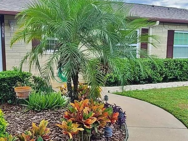 THONOTOSASSA, FL 33592