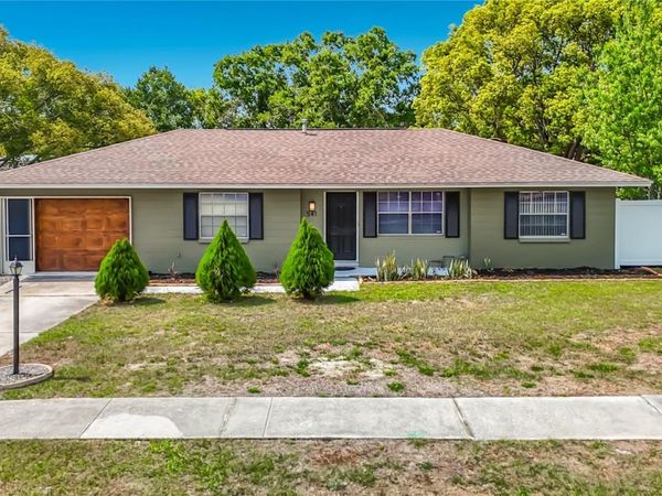 541 EDGEHILL AVENUE , SPRING HILL, FL 34606